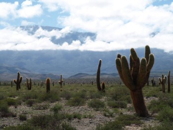 lugares_los_cardones_2.jpg