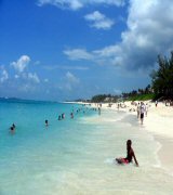 paradiseisland1.jpg