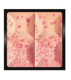 Le Prisme Blush Bucolique Givenchy