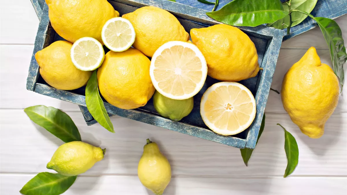 El limón